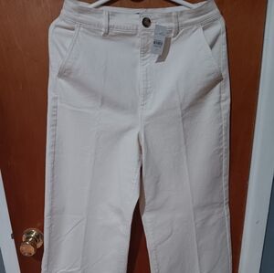ANN TAYLOR Size 6 Cream Colred Trousers